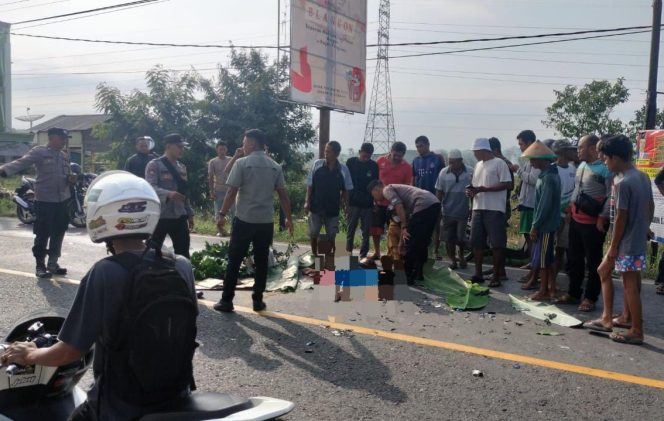 
 Situasi TKP kecelakaan saat polisi datang sebelum korban dievakuasi ke rumah sakit, paska kecelakaan tragis vixion tabrak dumptruk di Jalinbar Ganjaran, Pagelaran, Pringsewu, Sabtu 16 Nopember 2023. Foto : Polres Pringsewu.