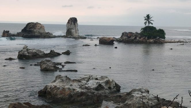 
 Salah satu spot karang terbaik di pantai karang putih di Pekon Karang Putih. Photo : Syamsul Kheir/Media Prioritas Network.