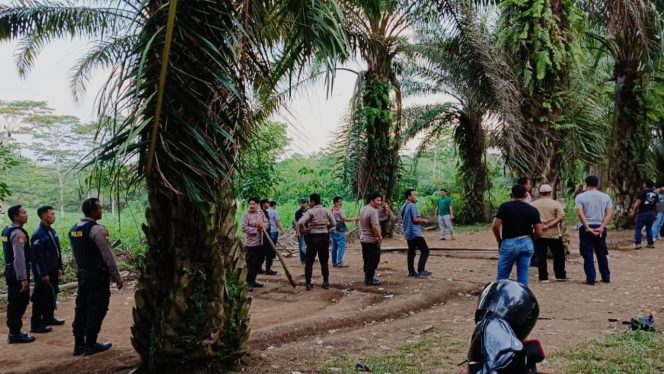 
 Lokasi penggerebekan arena sabung ayam di perkebunan sawit Dusun Talang Sebaris, Kampung Negeri Agung, Selagai Lingga, Lamteng, Minggu 21 Januari 2024. Foto : Humas Polres Lampung Tengah.