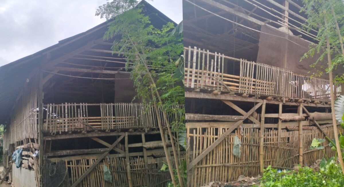 Lokasi kandang ayam di Pekon Sudimoro Bangung yang dikomplain warga, Jumat 2 Februari 2024. Foto : Dok. Istimewa.