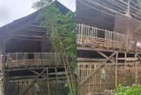 Lokasi kandang ayam di Pekon Sudimoro Bangung yang dikomplain warga, Jumat 2 Februari 2024. Foto : Dok. Istimewa.