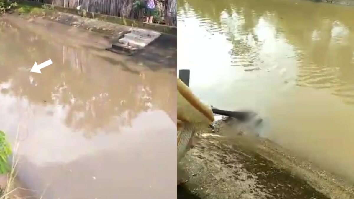 Kolase foto saat mayat bayi terbawa aliran air dan saat dievakuasi warga setempat, Rabu 21 Februari 2024. Foto : Tangkapan Layar.
