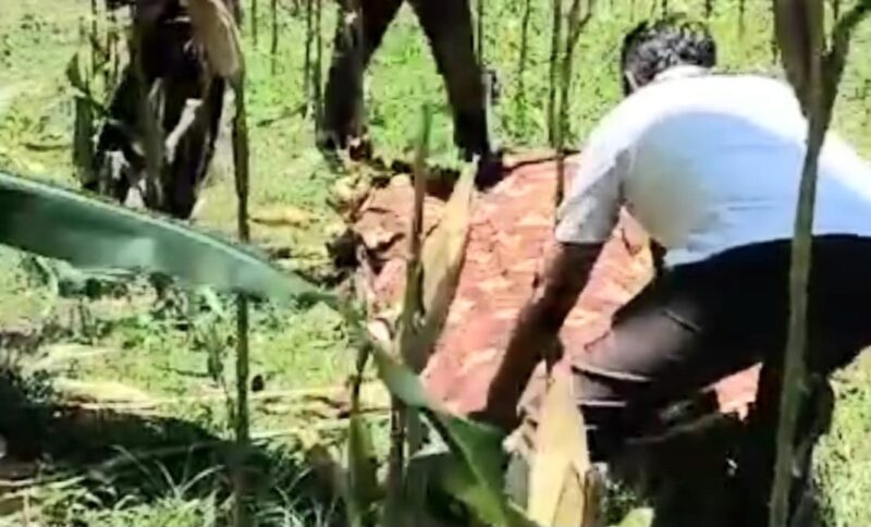 Jenazah korban saat ditutup kain oleh warga yang menemukannya, Kamis 22 Februari 2024, siang. Foto : Tangkapan Layar.