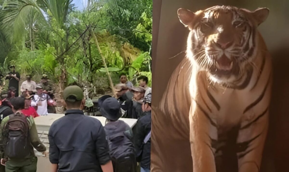 Kolase foto unggahan netizen Devi Intan Prmata Sary, Minggu 25 Februari 2024.