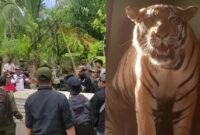Kolase foto unggahan netizen Devi Intan Prmata Sary, Minggu 25 Februari 2024.
