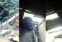 Kolase foto saat warga memotong kayu yang menimpa dan kondisi atas dapur rumah korban Sariman di Pekon Tugupapak, Semaka, Tanggamus, Minggu 25 Februari 2024. Foto : Istimewa.