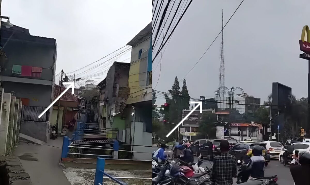 Kolase foto saat monyet liar turun di Kota Bandung, Rabu 28 Februari 2024. Foto : Tangkapan Layar.