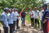 Pejabat Bupati Tanggamus, Mulyadi Irsan saat mengunjungi jalan provinsi di Kelumbayan, Tanggamus, Kamis 29 Februari 2024. Foto : Aldo/Media Prioritastv.com.