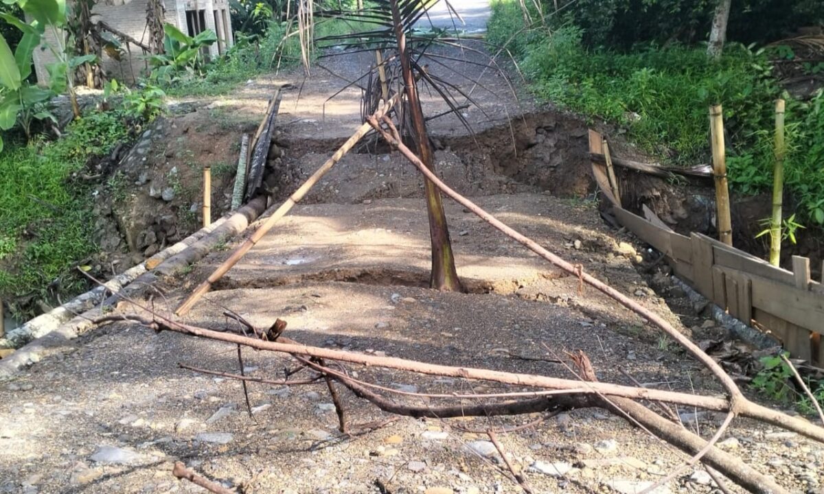 Jembatan Ambrol di Pekon Betung, Kecamatan Pematang Sawa, Kabupaten Tanggamus, pada Sabtu 2 Maret 2024. Foto : Edi Hidayat/Media Prioritastv.com.