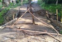 Jembatan Ambrol di Pekon Betung, Kecamatan Pematang Sawa, Kabupaten Tanggamus, pada Sabtu 2 Maret 2024. Foto : Edi Hidayat/Media Prioritastv.com.