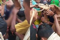 Kolase foto proses evakuasi 2 korban dari dalam sumur meninggal diduga menghirup gas beracun di Pekon Jatiagung, Ambarawa, Pringsewu, Jumat 8 Maret 2024. Foto : Istimewa.