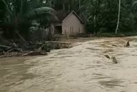 Rumah milik Junaidi di Pekon Sinar Bangun, BNS, nyaris tergerus banjir Way Semaka, Tanggamus, Jumat 8 Maret 2024. Foto : Tangkapan Layar Video/Edi Hidayat/Media Prioritastv.com.