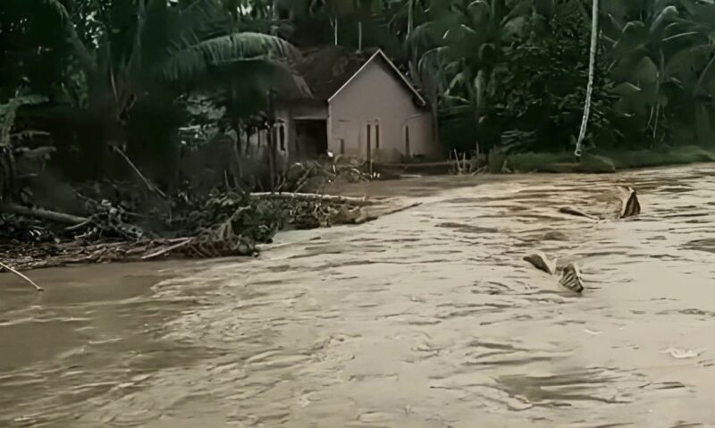 Rumah milik Junaidi di Pekon Sinar Bangun, BNS, nyaris tergerus banjir Way Semaka, Tanggamus, Jumat 8 Maret 2024. Foto : Tangkapan Layar Video/Edi Hidayat/Media Prioritastv.com.