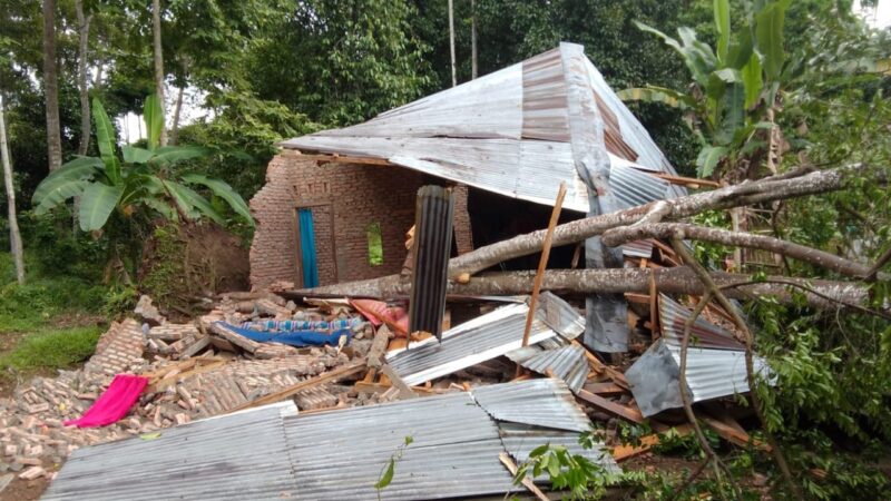 Rumah Apriansyah tertimpah pohon hingga nyaris rata dengan tanah, Kamis 14 Maret 2024, siang. Foto : Istimewa.