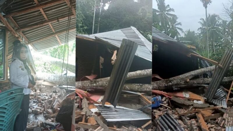 Kolase foto saat Kakon Kota Agung Neneng Rohani meninjau rumah wargnya yang ambruk dan kondisi rumah paska tertimpah pohon, Kamis 14 Maret 2024, Foto : Herdi/Media Prioritastv.com.