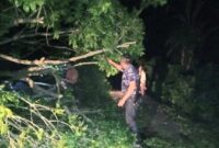 Kasat Polairud Polres Tanggamus Iptu Zulkarnain saat Membersihkan Pohon Tumbang Bersama Warga, Minggu 17 Maret 2024. Foto : Dok. Polres Tanggamus.