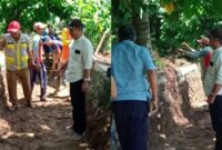 Pemeriksaan Perbaikan Irigasi ke Area Pesawahan di Pekon Gunung Doh, Tanggamus, Senin 18 Maret 2024. Foto : Edi Hidayat/Media Prioritastv.com.