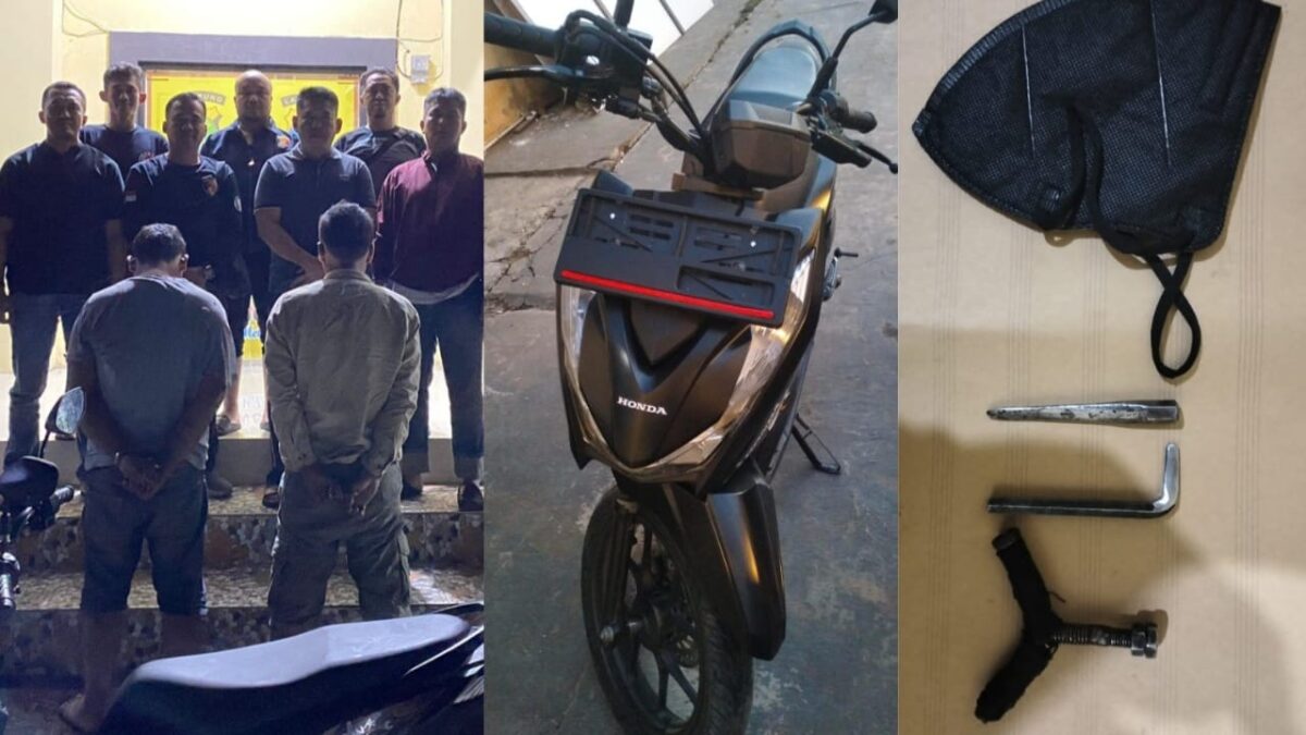 Kolase foto kedua tersangka usai ditangkap dan barang bukti yang diamankan tim gabungan, Kamis 21 Maret 2024. Foto : Polres Tanggamus.