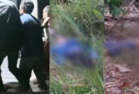 Kolase foto saat korban sampai di rumag duka dan kondisi saat terkapar usai ditabrak avanza di Jalan Sinar Agung Pugung, Tanggamus, Minggu 24 Maret 2024. Foto : Tangkapan Layar.