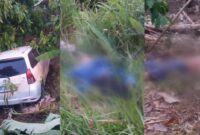 Kolase foto avanza berada di  kebun coklat dan 2 korban terkapar di lokasi saat diabadikan warga setempat, Minggu 24 Maret 2024. Foto : Warga Sinar Agung.