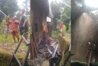 Kolse foto Damkar saat Melakukan Pendinginan Paska Kebakaran Rumah Hendra di Pekon Kedamaian, Kota Agung, Tanggamus, Senin 15 April 2024. Foto : Tangkapan Layar.