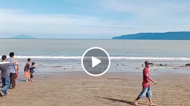 Kemunculan Buaya Yang Berhasil Direkam Warga di Pantai Digul, Kota Agung Barat, Minggu, 14 April 2024. Foto : Facebook Farid.