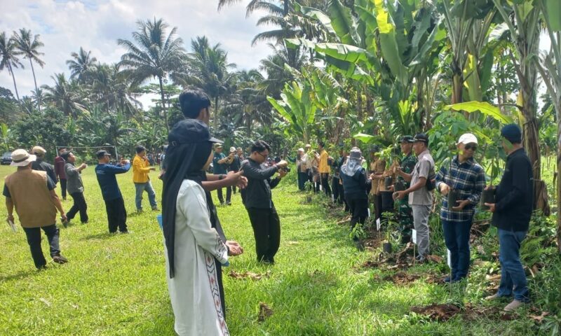 Penanaman Pohon di Lapangan Wirakarya PW IPM Provonsi Lampung Sebelum Joko Santoso Meninggal Dunia, Minggu, 12 Mei 2024. Foto : Istimewa.
