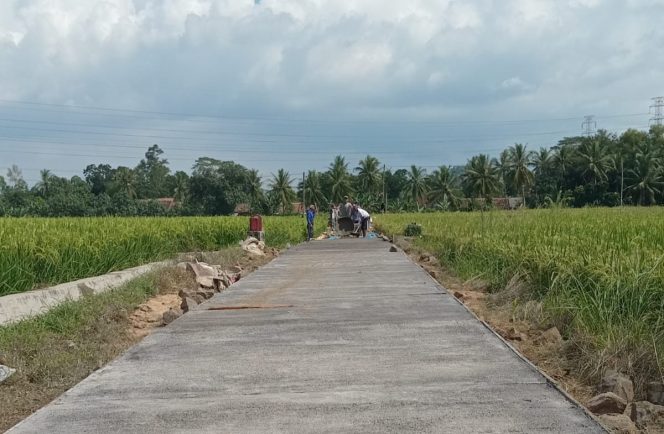 
					Pekon Gumukmas Bangun Rabat Beton Ketahanan Pangan DD 2024