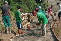 Pelaksanaan Pembangunan Jalan Tani Rabat Beton di Pekon Banjar Manis, Cukuh Balak, Tanggamus. Foto : A. Hayat Purba/Media Prioritastv.com.