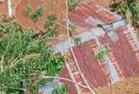 Gubuk Korban Tertimbun Longsor di Perkebunan Saung Naga, Air Abang, Ulu Belu, Tanggamus. Foto : Polres Tanggamus.