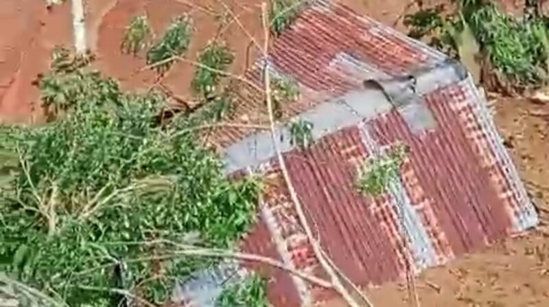 Gubuk Korban Tertimbun Longsor di Perkebunan Saung Naga, Air Abang, Ulu Belu, Tanggamus. Foto : Polres Tanggamus.