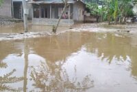 Kondisi Pemukiman di Pekon Negara Batin, Kota Agung Barat Pasca Dilanda Banjir. Foto: Herdi.