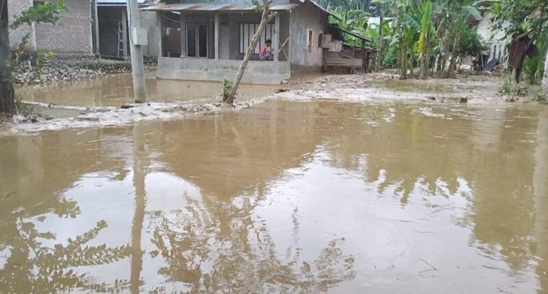 Kondisi Pemukiman di Pekon Negara Batin, Kota Agung Barat Pasca Dilanda Banjir. Foto: Herdi.