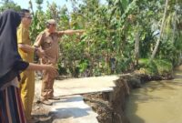 Pemerintah Provinsi Pemerintah Provinsi Lampung saat Survey Paska Tanggul Way Belu Tanggamus Jebol. Foto : Herdi.