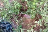 Anggi Lestari (16) Siswi SMA Ditemukan Meninggal Didalam Parit.  Foto : Humas Polres Mesuji.