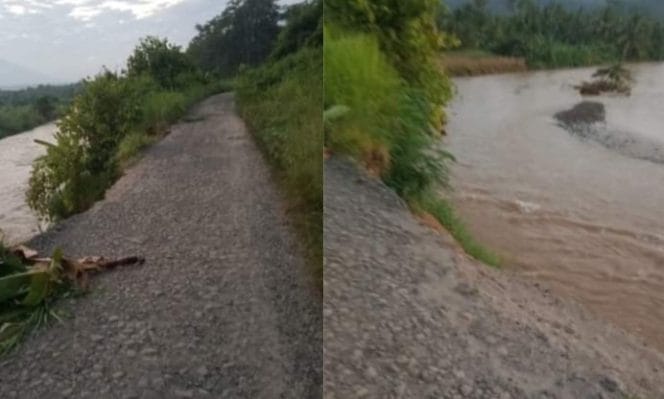 Jalan Tulung Asahan, Semaka, Tanggamus Tergerus Erosi, Rabu 29 Mei 2024. Foto : Edi Hidayat/Media Prioritastv.com.