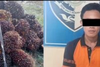 AG Berikut Barang Bukti Buah Sawit Hasil Curian saat Diamankan di Polsek Padang Ratu. Foto : Humas Polres Lampung Tengah. 