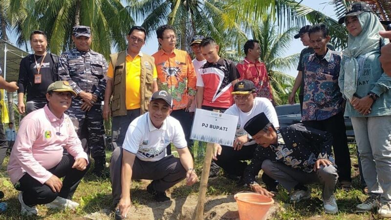 Pejabat Bupati Tanggamus, Mulyadi Irsan saat Menanam Pohon di Pantai Soumil Wonosobo, Jumat 7 Juni 2024. Foto : Aldo/Media Prioritastv.com.