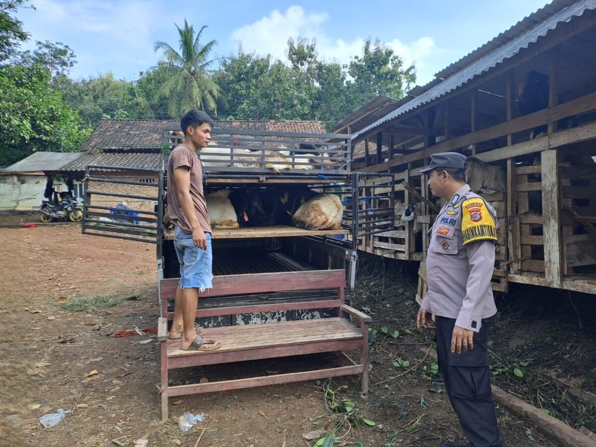 Bhabinkamtibmas Polres Pringsewu saat Menghimbau Peternak Agar Meningkatkan Kewaspadaan Terhadap Pencurian Hewan Ternak Menjelang Idul Adha. Foto : Humas Polres Pringsewu.