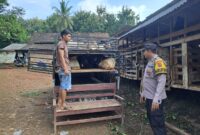 Bhabinkamtibmas Polres Pringsewu saat Menghimbau Peternak Agar Meningkatkan Kewaspadaan Terhadap Pencurian Hewan Ternak Menjelang Idul Adha. Foto : Humas Polres Pringsewu. 