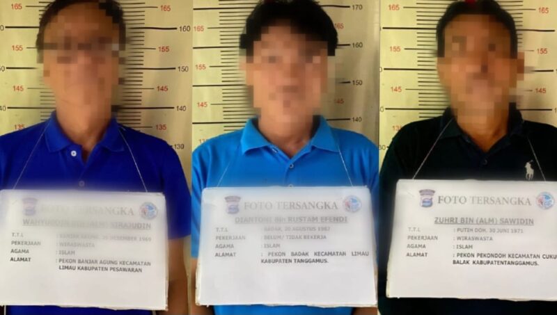 Ketiga Pengedar Sabu-Sabu yang Diamankan Satresnarkoba Polres Tanggamus. Foto : Humas Polres Tanggamus. 