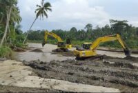 Proses Perbaikan Tanggul dan Normalisasi Sungai di Pekon Negara Batin Menggunakan Excavator. Foto :Herdi.
