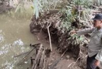 Polisi saat Memeriksa TKP Korban Diserang Buaya di Banjarnegoro, Wonosobo, Tanggamus, Jumat 14 Juni 2024. Foto : Polres Tanggamus.