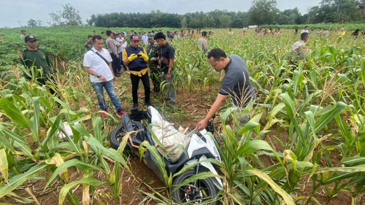 Polisi saat mendatangi TKP mayat dalam karung diatas motor vario di kebun jagung Desa Rajabasa Lama, Labuhan Ratu, Lamtim, Kamis 18 Juli 2024. Foto : Polres Lampung Timur.