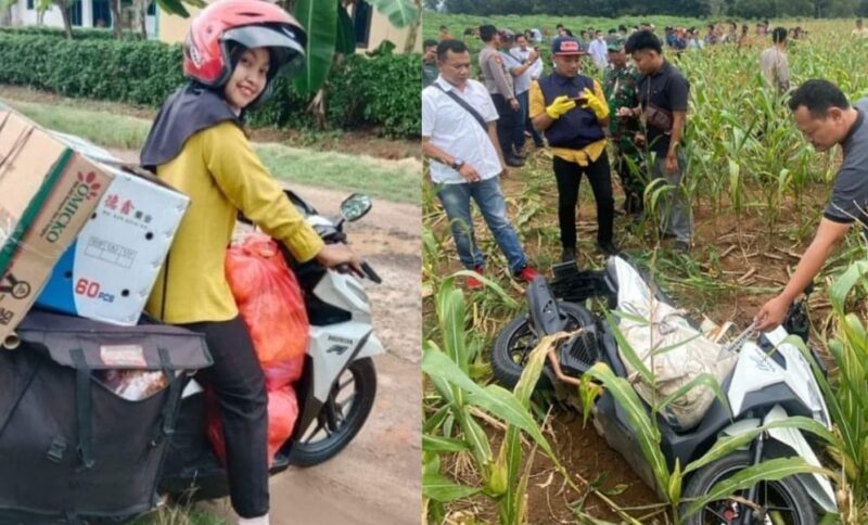 Kolase foto Riyas Nuraini semasa hidupny dan saat jasadnya ditemukan dikebun jagung Dusun Subing Jaya, Rajabasa Lama, Labuhan Ratu, Lampung Timur, Kamis 18 Juli 2024.