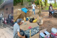 Belasan motor dan ayam yang diamankan polisi saat penggerebekan arena sabung ayam di Kampung, Cempaka Putih, Bandar Surabaya, Lampung Tengah, Jumat 26 Juli 2024. Foto : Polres Lamteng.