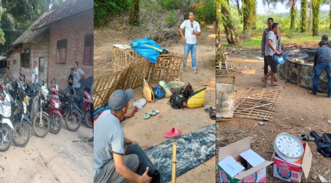 
 Belasan motor dan ayam yang diamankan polisi saat penggerebekan arena sabung ayam di Kampung, Cempaka Putih, Bandar Surabaya, Lampung Tengah, Jumat 26 Juli 2024. Foto : Polres Lamteng.