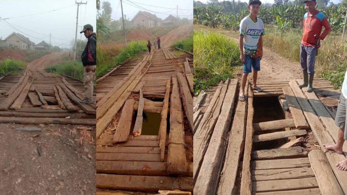 Kondisi jembatan pengubung Ulu Semong, Petay Kayu Ulu Belu Tanggamus dan Suoh Lampung Barat | Dok. Febriansyah.