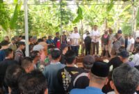 Prosesi pemakaman almarhum Edi Kedel di pemakaman Tionghoa, Dusun Mincang Pekon Negeri Agung, Talang Padang, Tanggamus, Jumat 9 Agustus 2024 | Asrul Ariski/Media Prioritastv.com.