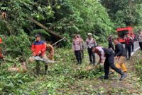 Petugas gabungan berjibaku membuka jalan tertutup pohon tumbang di KM 17 Jalan Lintas Krui - Liwa, Lampung Barat | Dok. Polres Lampung Barat.